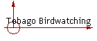 Tobago Birdwatching